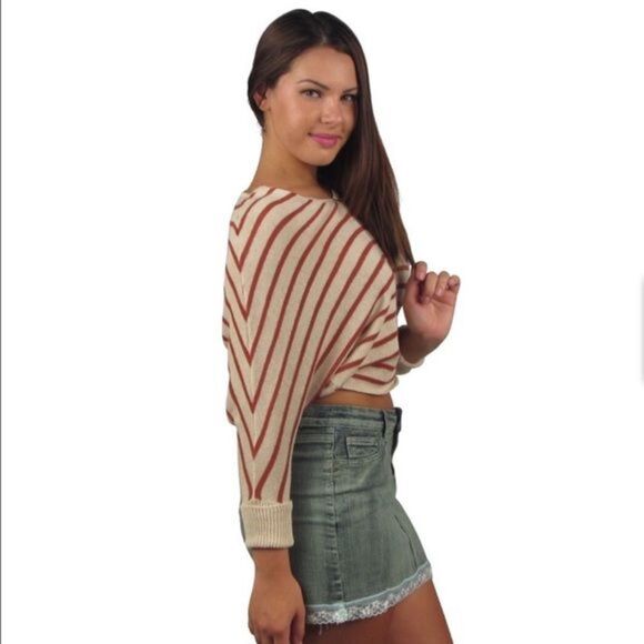 Long Sleeved V-Neck Crop Top - Picture 2 of 4